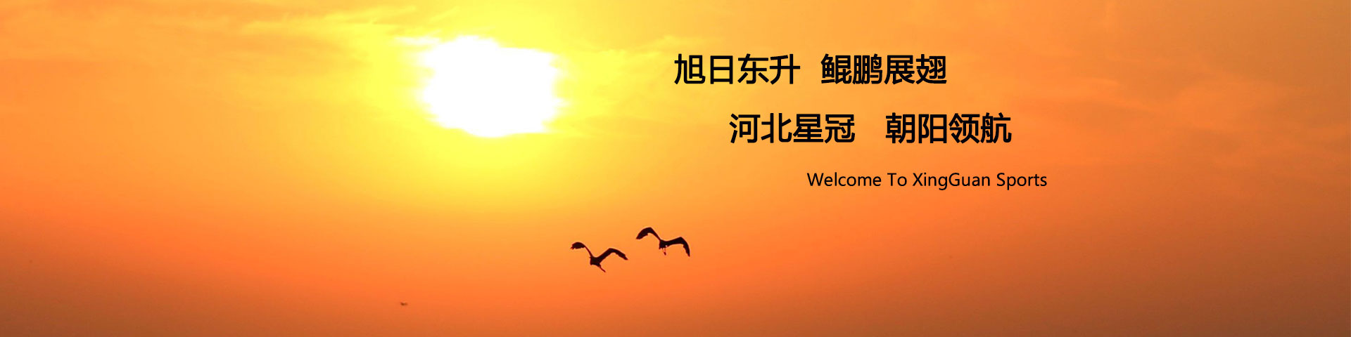 球盟会直播平台